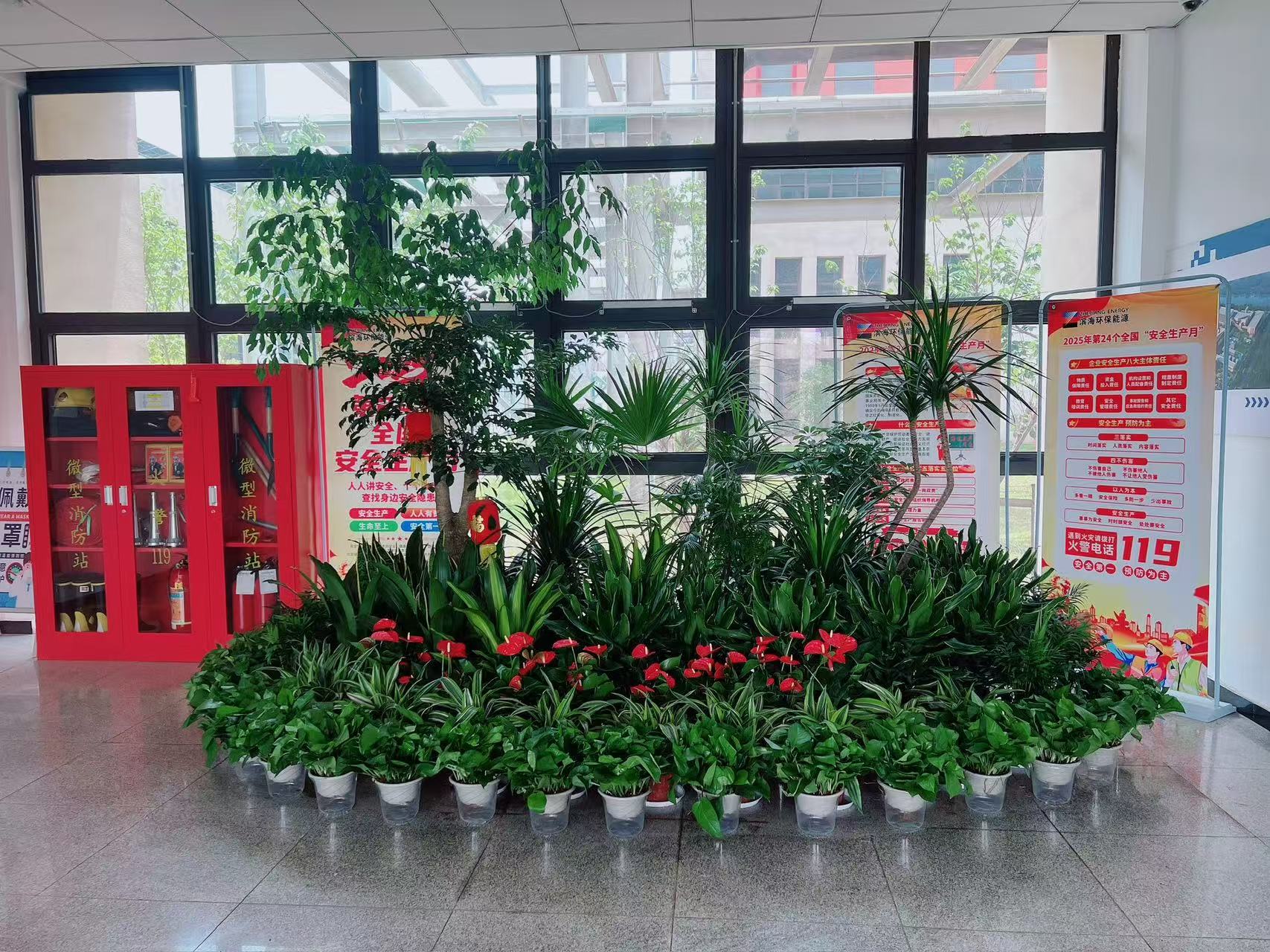 宁波镇海花卉出租，为您的空间增添别样生机